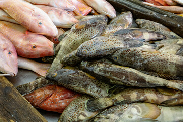 Traditional fish market in Mutrah, Oman. Several types of fish for sale, tuna and other fish.