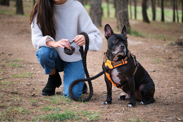 Unrecognizable young woman tying a knot in the dog trash bag after pet in park. Cleaning up dog...