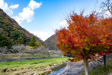 紅葉と渓谷の綺麗な秋の長門峡　山口県