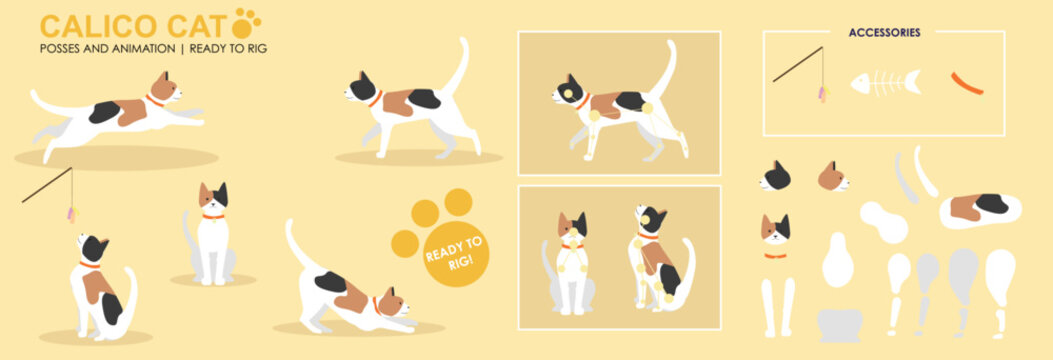 Cute Ginger black and white Calico cat, jumping, playing multiple poses, positions. Vector broken down ready to rig and animate, cartoon cat playing eating. Animation	
