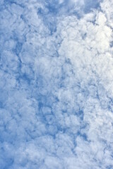 Fototapeta na wymiar Ciel nuages épars de type altocumulus