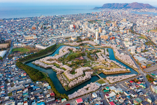 五稜郭 の画像 1 150 件の Stock 写真 ベクターおよびビデオ Adobe Stock