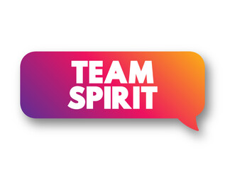 Team Spirit text business concept message bubble for presentations and reports