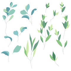 Vector set of luxury green leaves and flowers elements in watercolor style  trendy greenery. Vector isolated on white background for invitation, greeting card, save the date