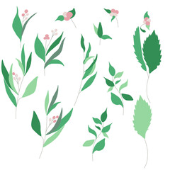 Vector set of luxury green leaves and flowers elements in watercolor style  trendy greenery. Vector isolated on white background for invitation, greeting card, save the date