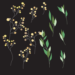 Vector set of elements of luxurious green leaves and flowers in watercolor style of fashionable greenery. Vector isolated on black background for invitation, greeting card, date saving