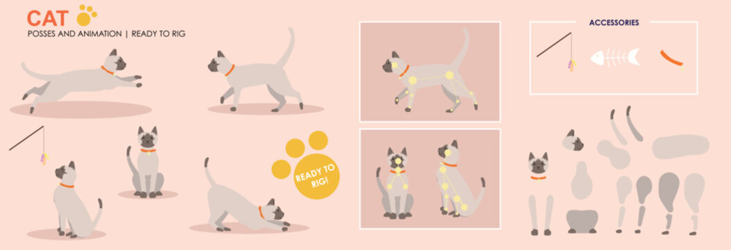 Cute Siamese cat, jumping, playing, multiple poses, positions. Vector broken down ready to rig and animate, cartoon cat playing eating. Animation	
