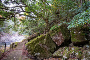 紅葉と渓谷の綺麗な秋の長門峡　山口県