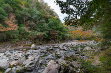 紅葉と渓谷の綺麗な秋の長門峡　山口県