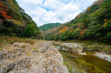 Fototapeta na wymiar 紅葉と渓谷の綺麗な秋の長門峡　山口県