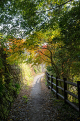 紅葉と渓谷の綺麗な秋の長門峡　山口県