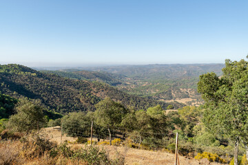 Fototapeta na wymiar summer landscape in fenced fields with mediterranean vegetation