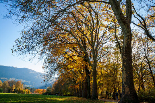 Vizille, Isère, Rhône-Alpes, France, 20 11 2022 photos of autumn landscapes in the park of the castle of Vizille