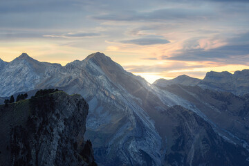 CHASING THE LAST LIGHT