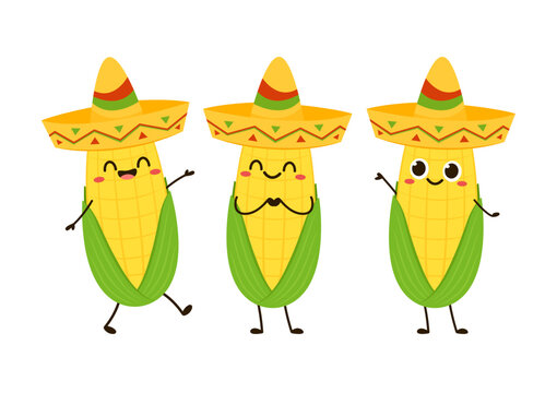 Corn vector. Corn character design. Corn on white background.