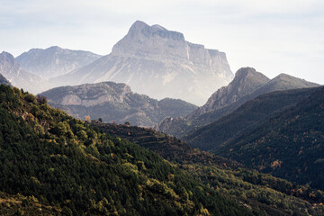 Fototapeta premium LONG WAY UP
