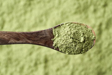 Barley grass powder rich in chlorophyll on a spoon
