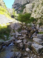 Riachuelo que baja de Bulnes en los Picos de Europa_04