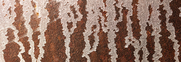 Paint on a rusty metal sheet as an abstract background.