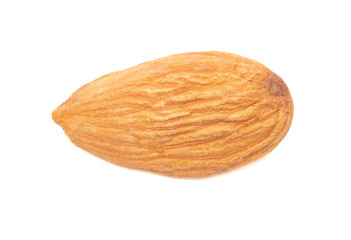 One almond nut isolated on white background.