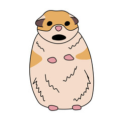 Famous meme with scared hamster. Flat comic fun vector illustration. Frightened surprised animal. Sticker for messengers. Open mouth. Terrified.