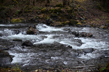 Fototapeta premium 冬の渓流