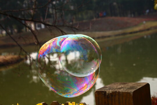 soap bubbles in the park
