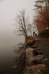 norway fog beautiful mystery forest