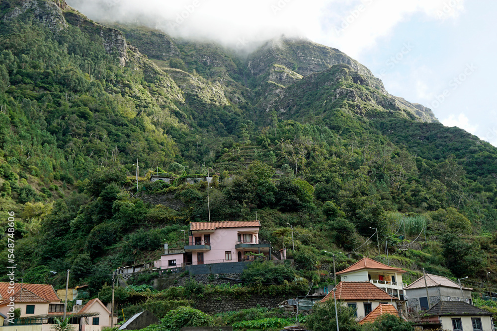 Poster hillside settlement on madeira island