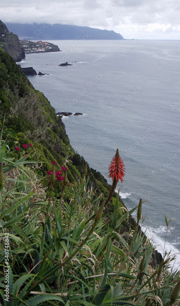 Wall mural scenic view at the coast of madeira