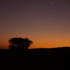 Sunset in the desert of Oman