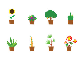 Indoor landscape garden potted plants isolated on white. Vector set green plant in pot.