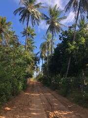 Fototapeta premium Typical road in Watamu, Kenya.