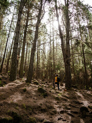 White man hiking through the forest in autumn.