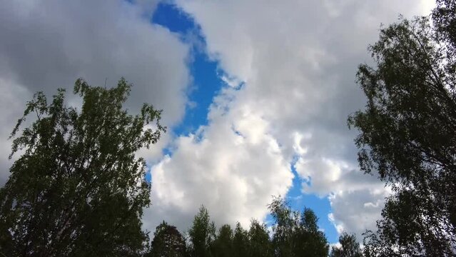 Blue sky white clouds time lapse hyper lapse. Summer view of clouds moving past. Summer blue sky, puffy fluffy white clouds background. Cumulus cloud cloudscape timelapse. Green trees with wind