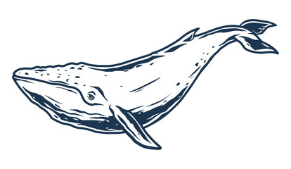 Blue whale monochrome detailed label © DGIM studio
