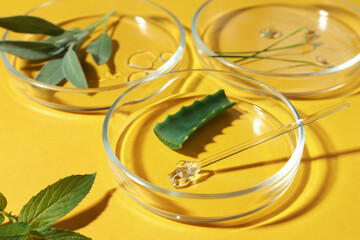 Petri dish and plants on yellow background