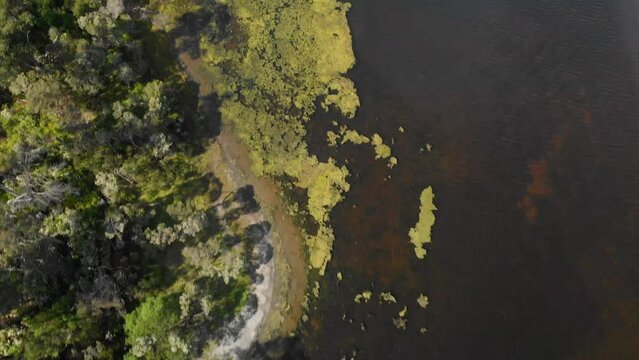 Aerial birds eye view shot of algae on the shores of an Australian lake.