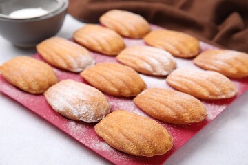 Delicious madeleine cookies in baking mold on white table, closeup