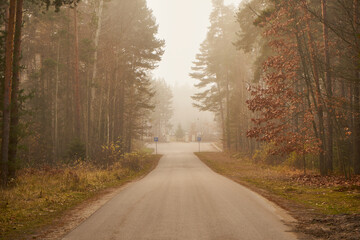 asfaltowa droga prowadząca przez las, mgła ,cmentarz