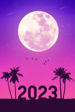 2023 number palm tree with birds flying and full moon night at tropical beach abstract background. Happy new year and holiday celebration concept.