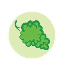 Cute Fruit Sticker Set Illustration