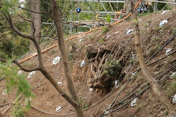 斜面補強工事のアンカー工法