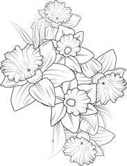 Bouquet of daisy flower  hand drawn pencil sketch coloring page and book for adult isolated on white background floral element illustration ink art.

