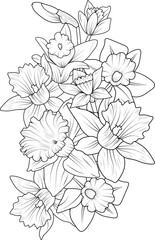 Set of decorative stylized daffodil flower, daffodil flower drawing. Highly detailed vector illustration doodling flowers narcissus and zentangle style, Embellishment tattoo design, coloring pages
