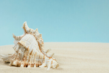 Obraz na płótnie Canvas Background of light beach sand with space for text.