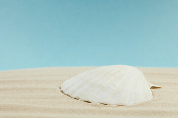 Background of light beach sand with space for text.