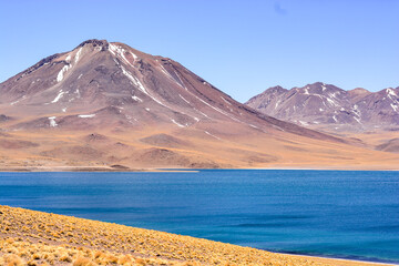 laguna miskanti, deserto do atacama