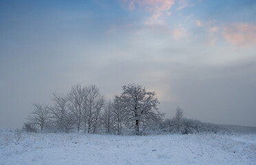 Fototapeta na wymiar beautiful winter landscape