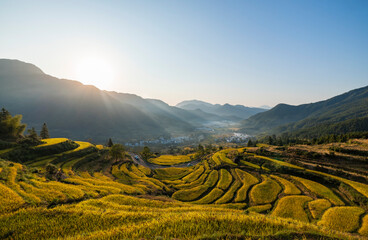 Obraz premium Autumn terraced landscape of Jiangling in Wuyuan, Jiangxi province